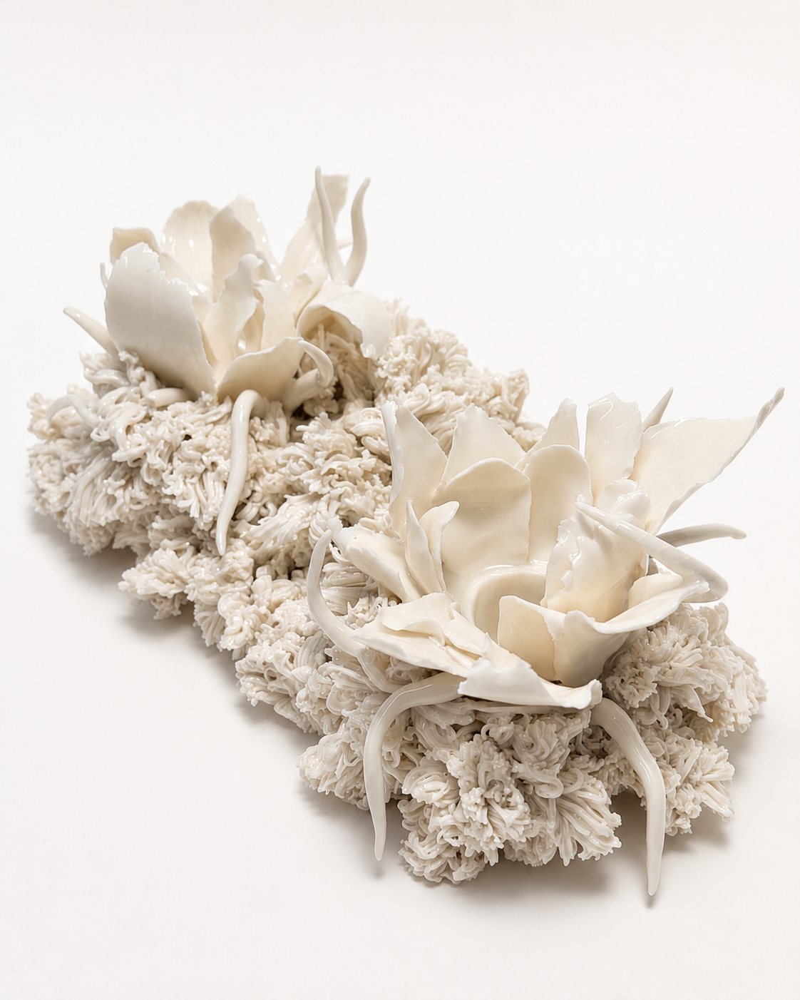 Botanical Fractures, 2026, porcelain, by Ayse Nisa Akdemir