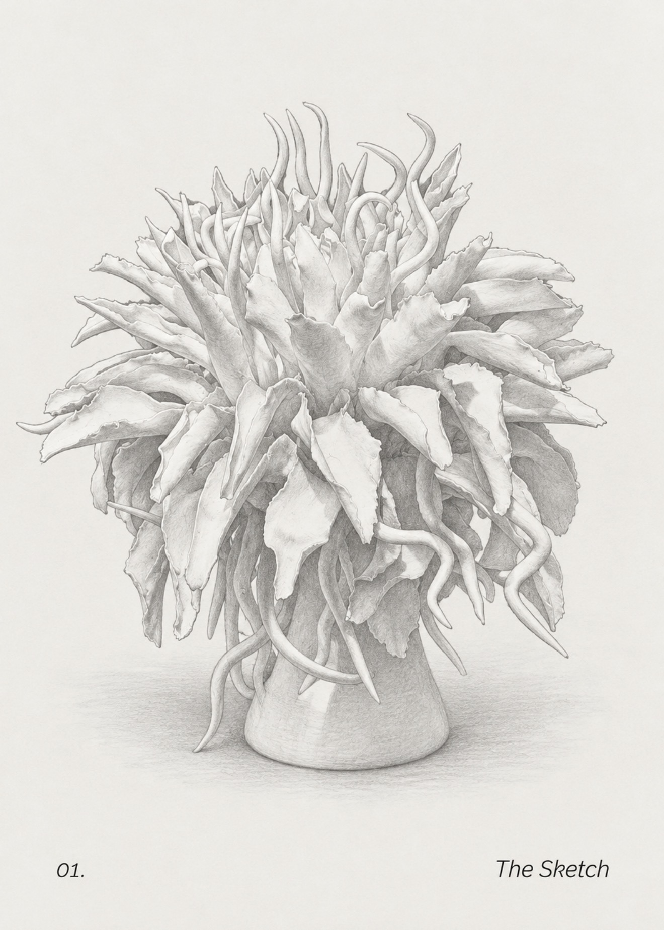 Preparatory pencil drawing