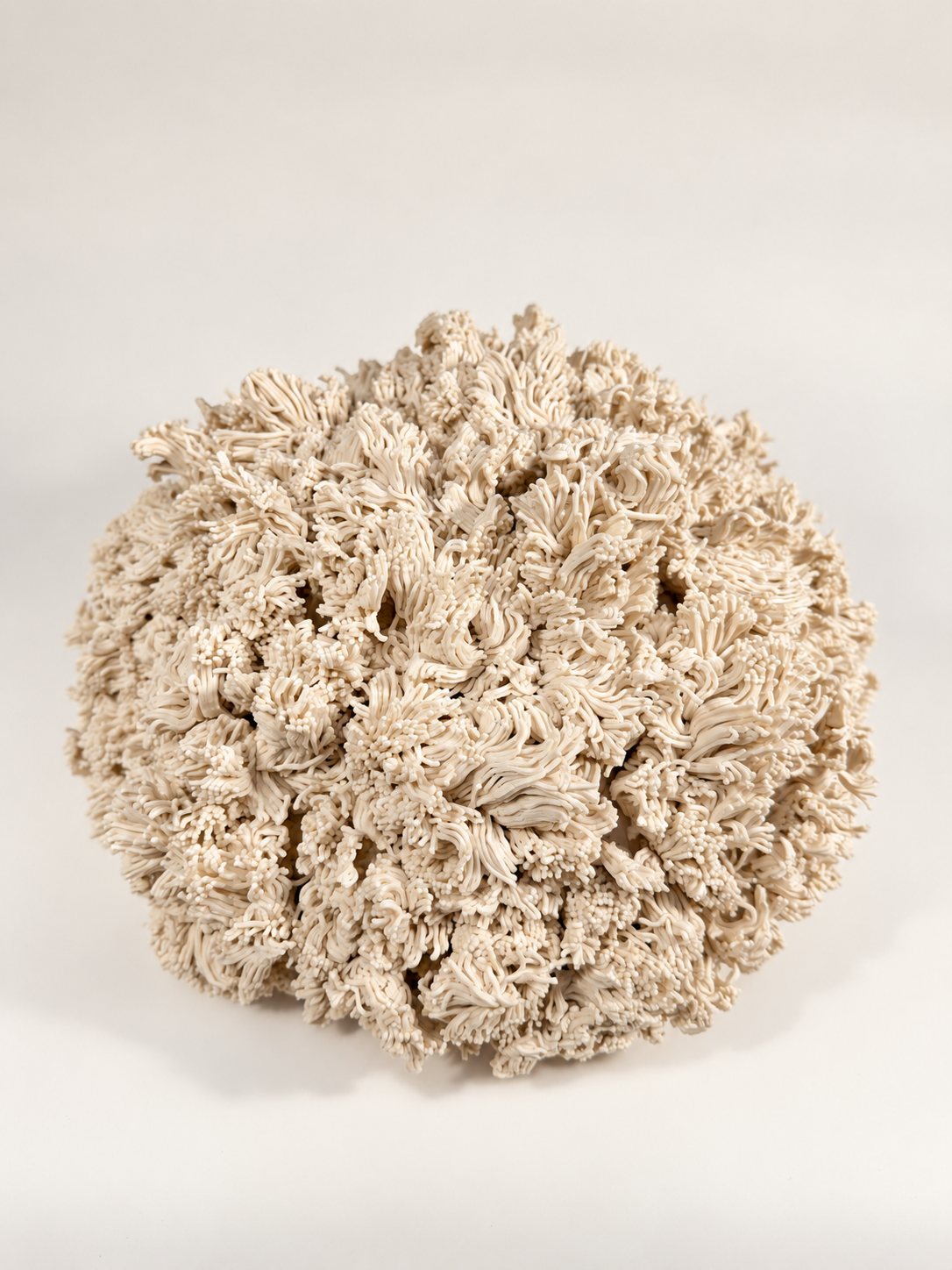Quiet Colony, 2026, porcelain, by Ayse Nisa Akdemir